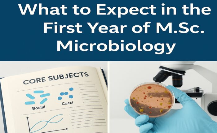 What to Expect in the First Year of M.Sc. Microbiology