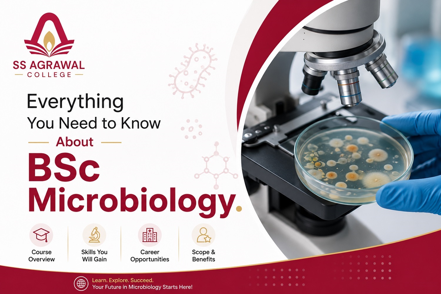 Everything You Need to Know About BSc Microbiology